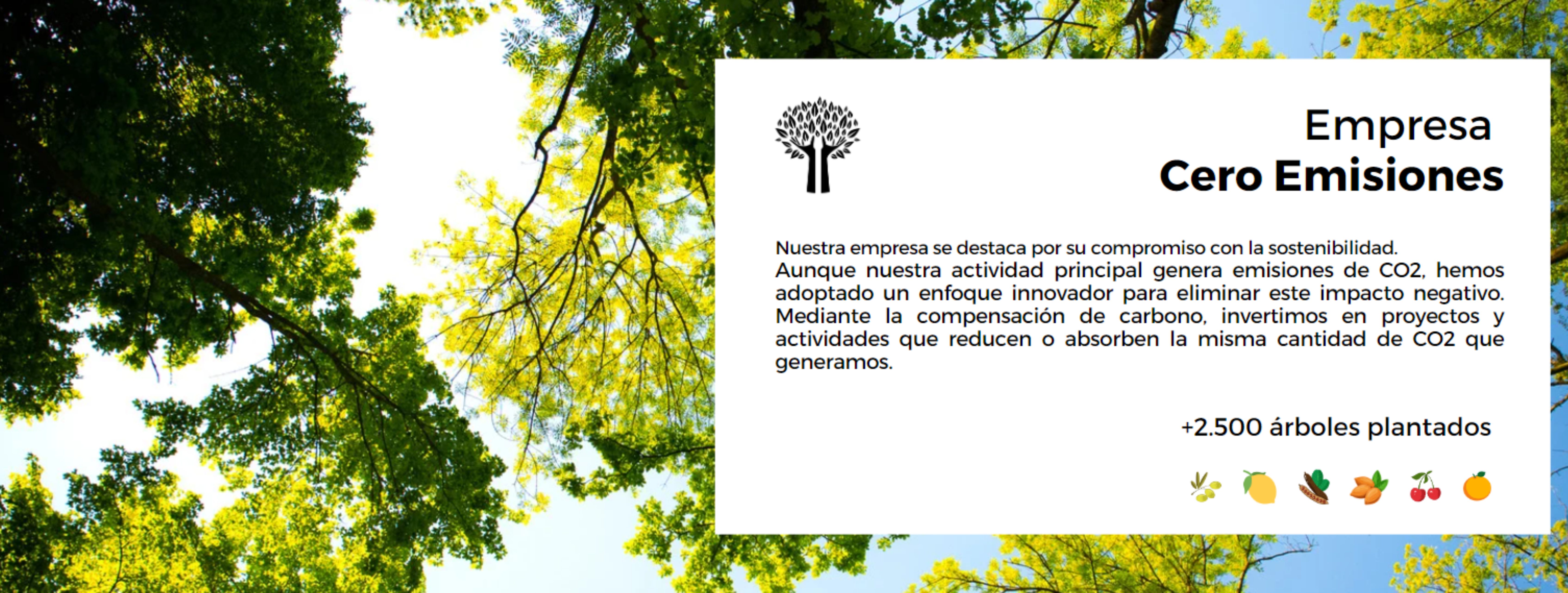 Logo que habla sobre la sostenible iniciativa del grupo Fernando A Moll para ser una empresa de 0 emisiones mediante la planta de árboles